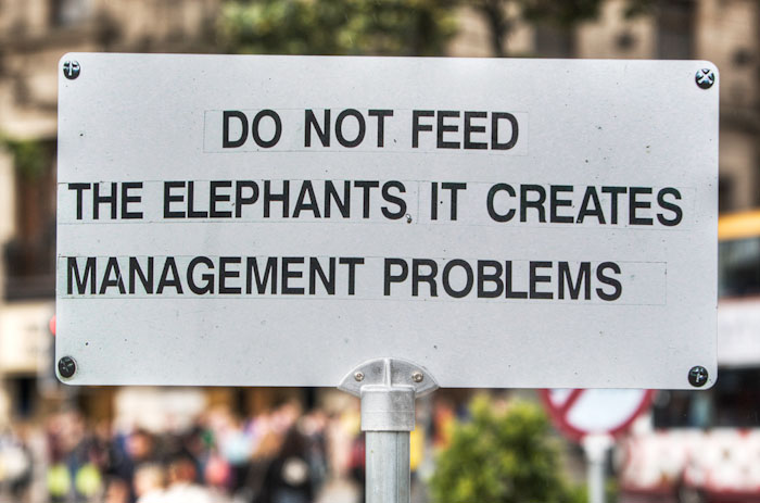 Don't Feed the Elephants funny sign