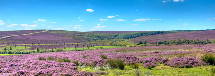 Post image for Other Yorkshire