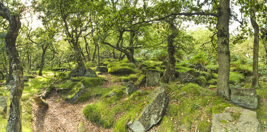 Padley Gorge Panoramic