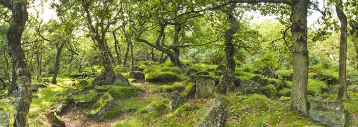 Post image for Padley Gorge