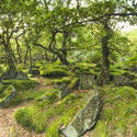 Thumbnail image for Padley Gorge