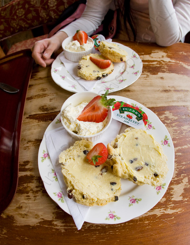 Cream Tea and Scones