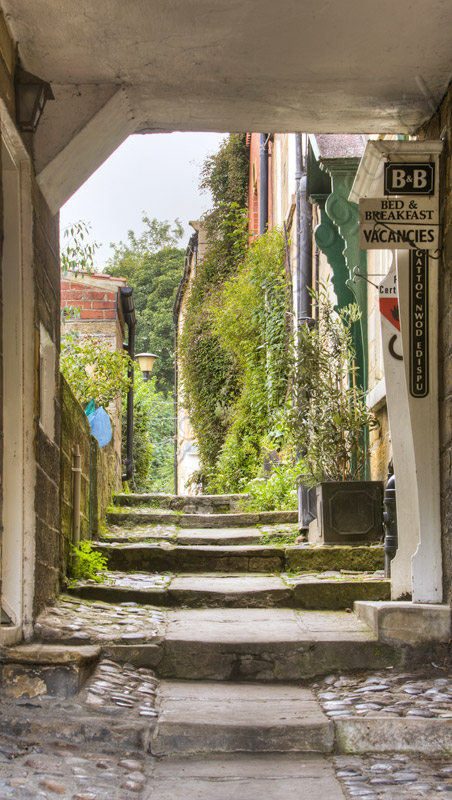 Robin Hoods Bay Path Panoramic